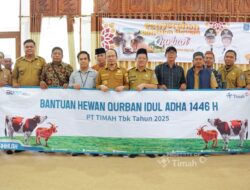 PT Timah Salurkan 25 Hewan Kurban untuk Warga Bangka Tengah