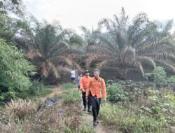 Pemuda Berkebutuhan Khusus Hilang di Perkebunan Sawit Bangka Barat, Tim SAR Lakukan Pencarian