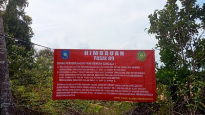 Kerusakan hutan akibat tambang ilegal di dekat kantor Pemda Bangka Barat