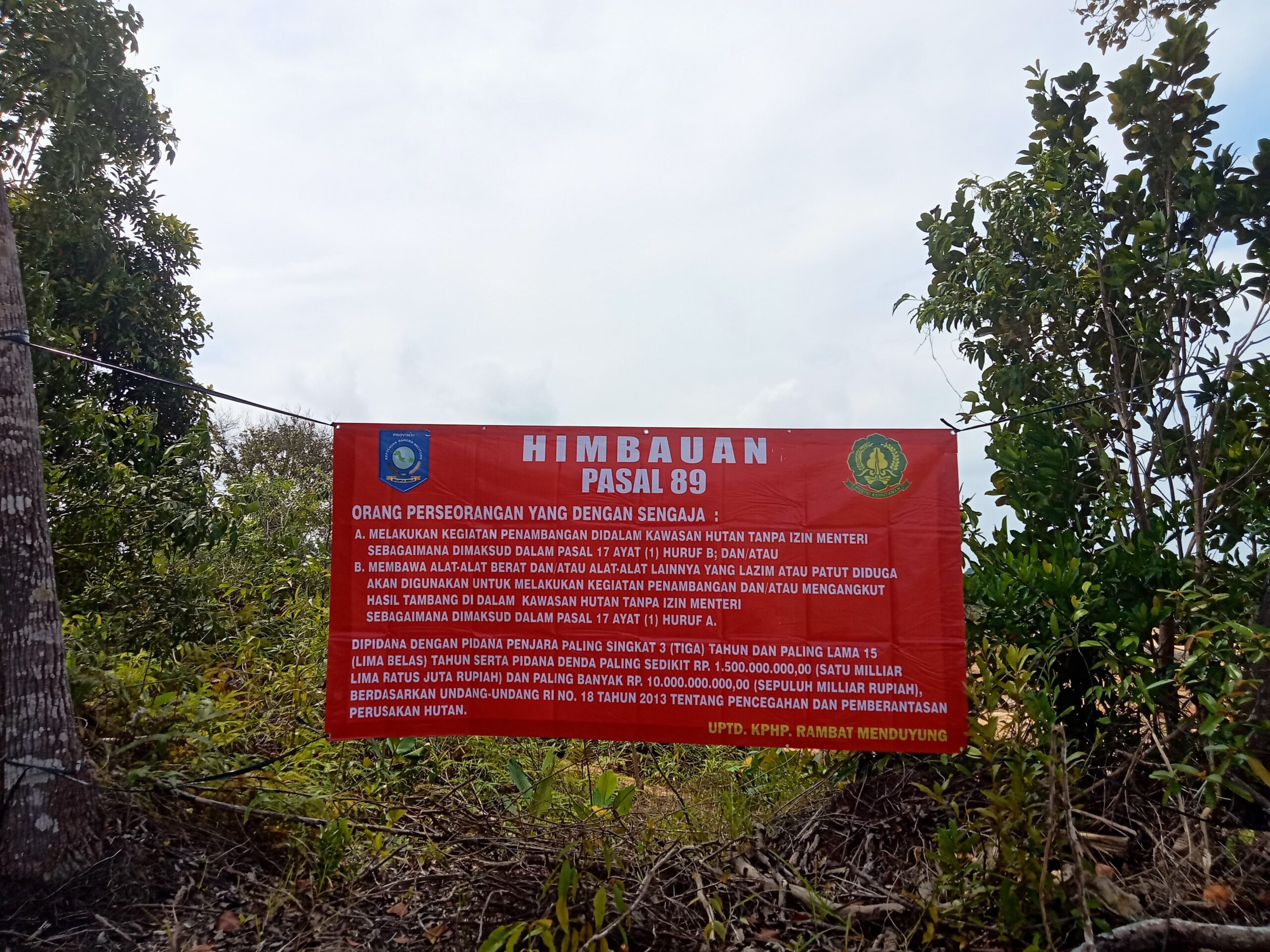 Kerusakan hutan akibat tambang ilegal di dekat kantor Pemda Bangka Barat