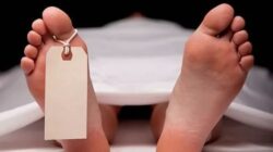 Sedang Cari Kayu, Kakek di Bangka Barat Ditemukan Tewas di Hutan Belakang The Bukit