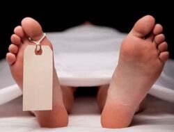 Sedang Cari Kayu, Kakek di Bangka Barat Ditemukan Tewas di Hutan Belakang The Bukit