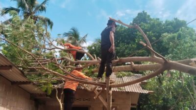 Lagi Tidur Lelap, Rumah Warga Bangka Barat Dihantam Pohon Saat Hujan Deras