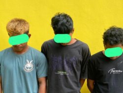 Tiga Ninja Sawit Digrebek di Perkebunan BPL,  Puluhan TBS Berhasil Disita Polisi