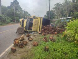 Usai Direktur Garuda TV Tewas, Kapolres Bangka Barat Imbau Truk Sawit Pakai Jaring