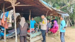 Ngeri! Dini Hari Warga Parittiga Disergap Buaya, Kaki Digigit Saat Melintas di Kolong