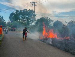 Karhutla di Mentok Nyaris Sentuh Gardu PLN, Warga Sempat Panik